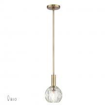 Livex Lighting 46321-08 - 1 Light Natural Brass Crystal Pendant