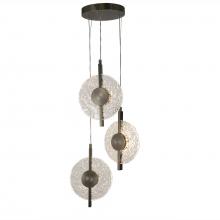 LNC Home HA05221 - Philodendron 3-Lights LED Chandelier