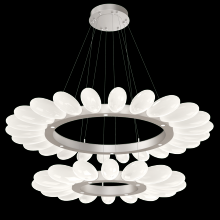 Hammerton CHB0071-2T-BS-WL-CA1-L3 - Fiori Two-Tier Radial Ring