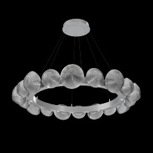 Hammerton CHB0089-48-CS-S-CA1-L1 - Mesa Radial Ring - 48-Inch