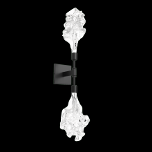 Hammerton IDB0059-02-SN-BC-L1 - Blossom Double Sconce