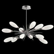 Hammerton PLB0071-0A-SN-WL-001-L3 - Fiori Oval Starburst Chandelier 50"