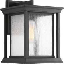 Progress P5611-31 - Endicott Collection One-Light Large Wall Lantern