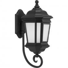 Progress P6631-31MD - Crawford Collection Black One-Light Medium Wall Lantern