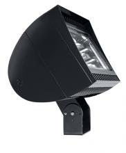 RAB Lighting FXLED200T/PCT/15C - FLEXFLOOD 200W COOL LED 7HX6V 120-277V PCT BZ 15FT CORD