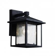 Trans Globe 40360 BK - 1LT WALL LANTERN-SML-SEEDED-BK