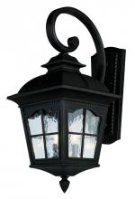 Trans Globe 5424 BK - Briarwood 4-Light Rustic, Chesapeake Embellished, Armed Water Glass and Metal Wall Lantern