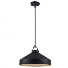 Trans Globe PND-2243 BK - Pendant Lights Black