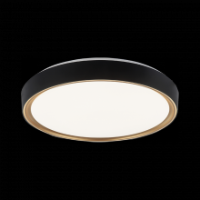 Matteo Lighting M10602BKGL - Alamus Ceiling Mount