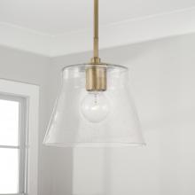 Capital 346912AD - 1 Light Pendant