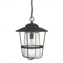 Capital 9604BK - 1 Light Outdoor Hanging Lantern