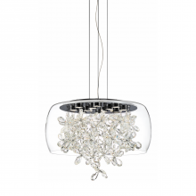 ZEEV Lighting CD10244-LED-MBK - LED 20" Clear Glass Dome Shade Chandelier