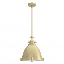 Hunter 19105 - Bridgemoor 2 Light Pendant