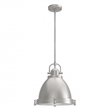 Hunter 19104 - Hunter Bridgemoor Brushed Nickel with Clear Holophane Glass 2 Light Pendant Ceiling Light Fixture