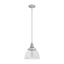 Hunter 19328 - Hunter Cypress Grove Brushed Nickel with Clear Holophane Glass 1 LT Pendant Ceiling LT Fixture