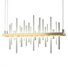 Hubbardton Forge 139725-LED-STND-86-82 - Cityscape LED Pendant