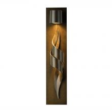 Hubbardton Forge 303090-SKT-80 - Flux Dark Sky Friendly Outdoor Sconce