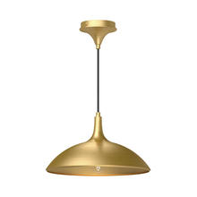 Alora Lighting PD627914BG - Abel 14-in Brushed Gold 1 Light Pendant