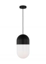 Visual Comfort & Co. Studio Collection DJP1141MBK - Foster Medium Pendant