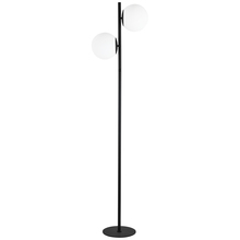 Dainolite FOL-662F-MB - 2 Light Incandescent Floor Lamp, Matte Black with White Opal Glass