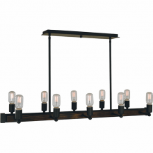 Framburg 5402 MBLACK - 10-Light Matte Black Modern Farmhouse Island Chandelier