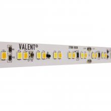 Diode Led DI-24V-VL1-WD2718-100 - STRIP/TAPE LIGHT