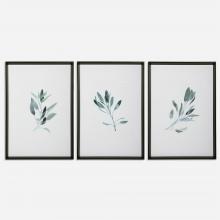 Uttermost 33723 - Uttermost Simple Sage Watercolor Prints, S/3